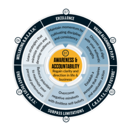 7 Elements of Transformation Program